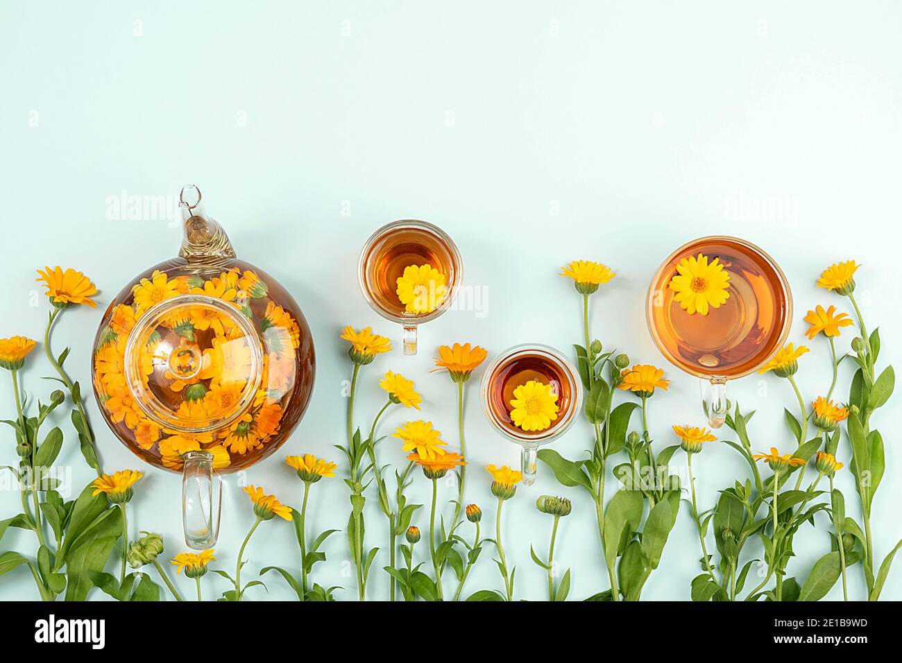 Cups of herbal tea and transparent teapot with calendula flowers on blue background. Calendula Tea Benefits Your Health concept. Top view Flat lay Cop Stock Photo