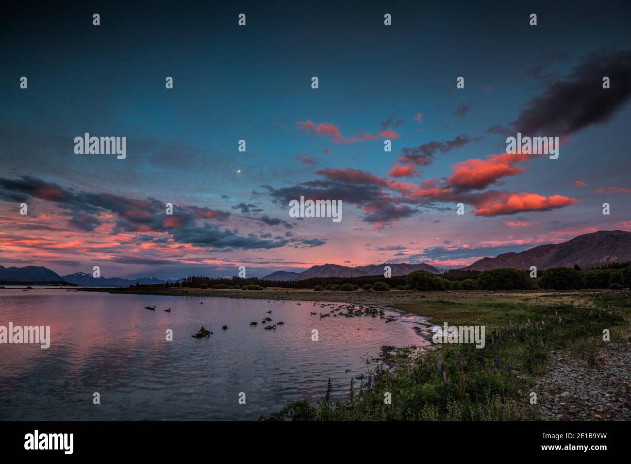 Sunset at Lake Tekapo, South Island, New Zealand Stock Photo - Alamy
