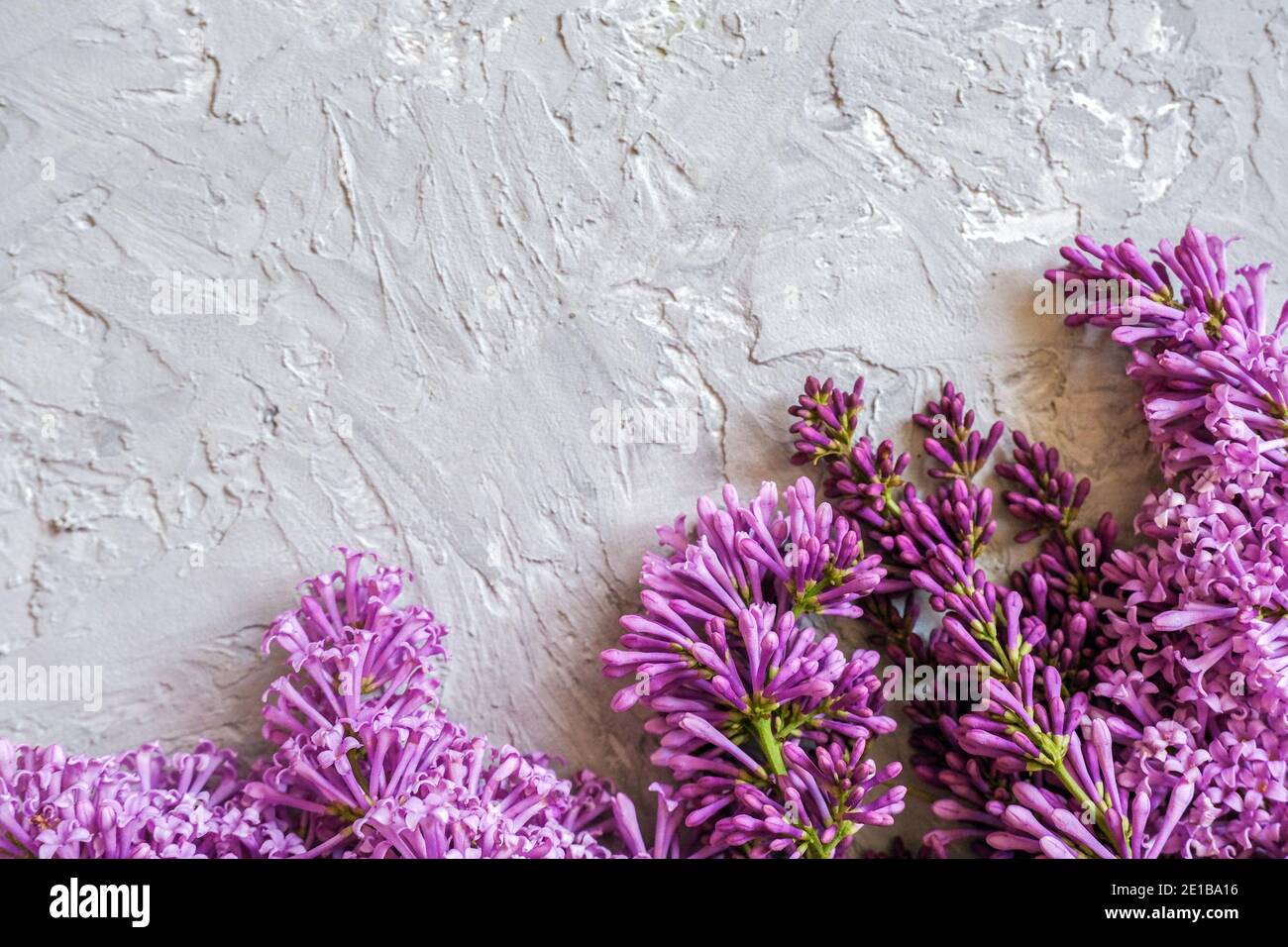Border blooming branches of lilac on gray stone background with copy space for your text. Concept Hello spring, womens day Template for design, greeti Stock Photo