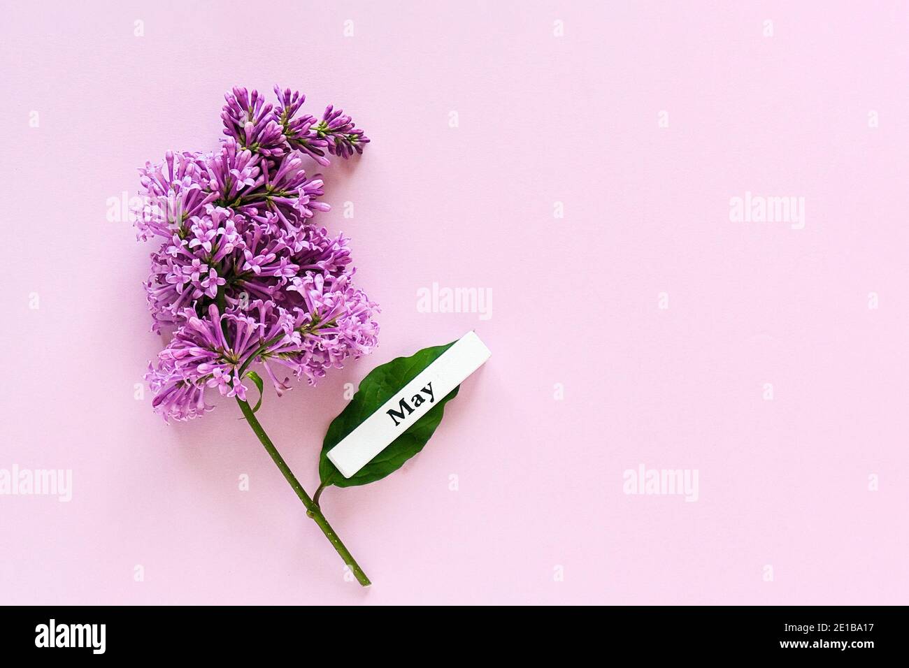 Wooden calendar spring month of May and branch of lilac on pink background. Copy space. Minimal style. Template for greeting card, text, design. Hello Stock Photo