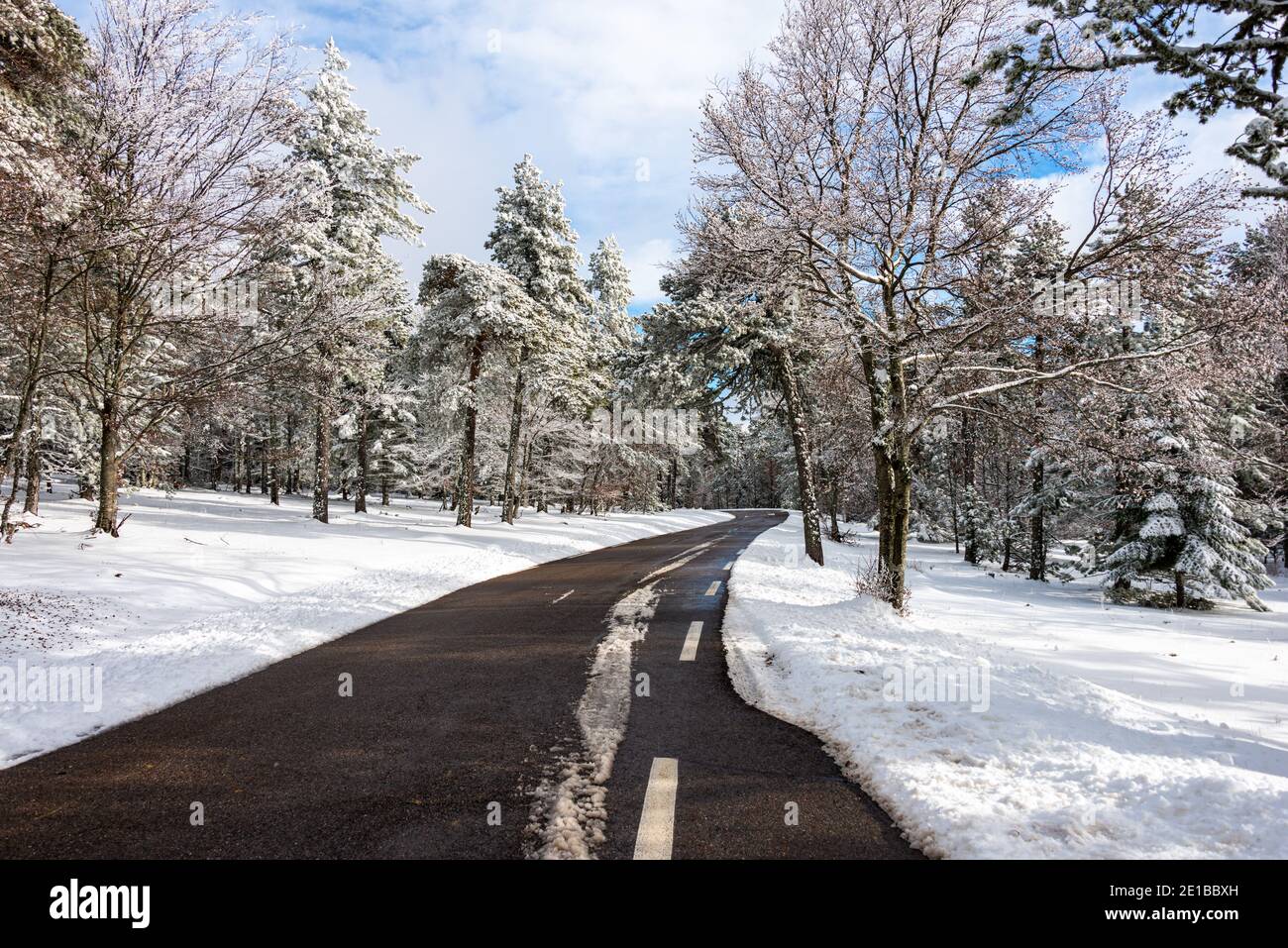 road going up the mount  ventoux in a winter landscape with fresh snow Stock Photo