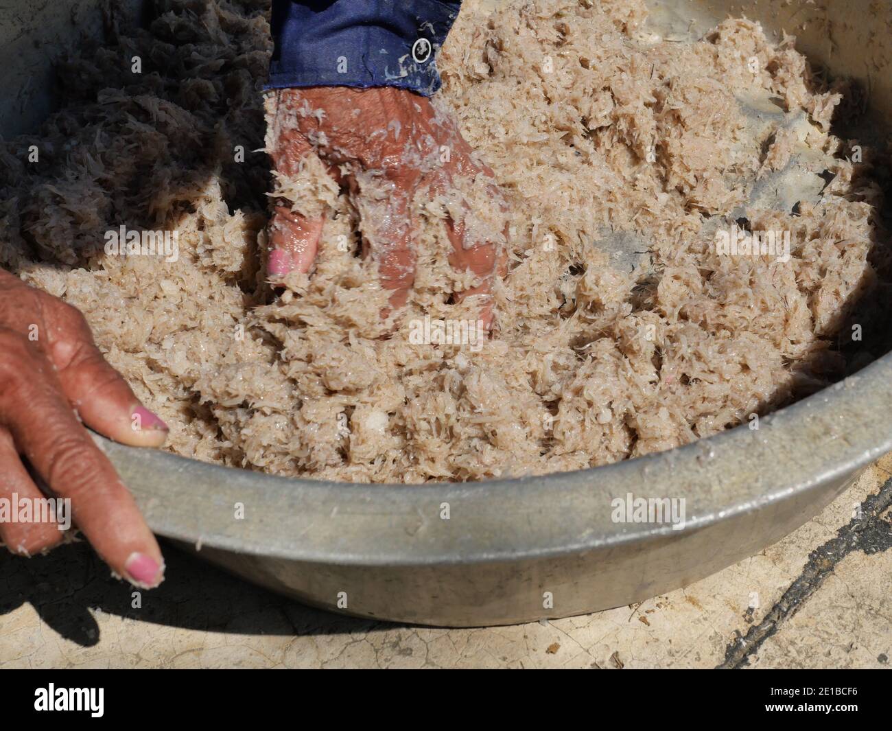 Fisherman mauling group of fresh Krill or Opossum with salt, Plankton that fishermen trap for cooking, Preserving food with salty and sun drying Stock Photo