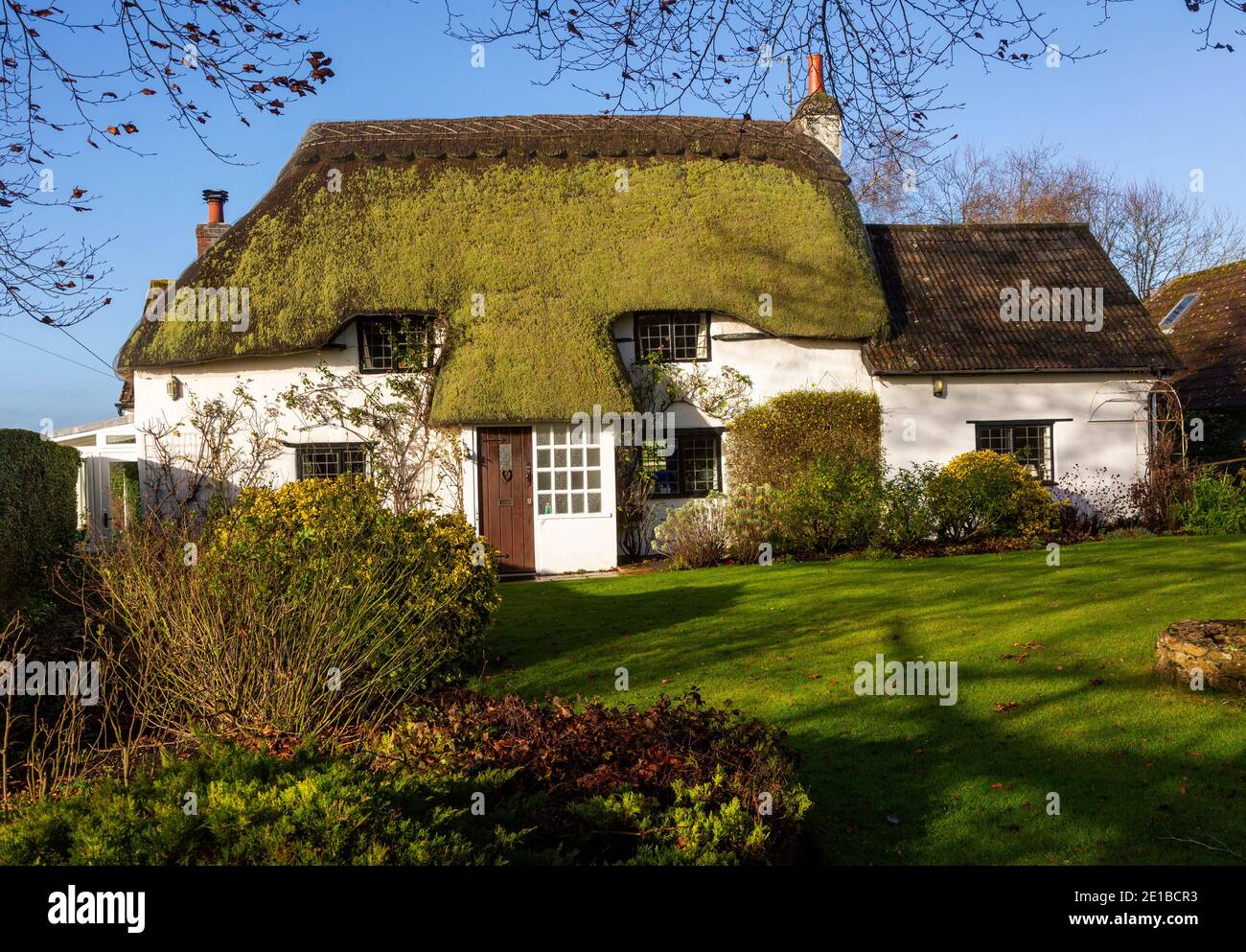 Pretty thatched country cottage home with green moss growing on thatch