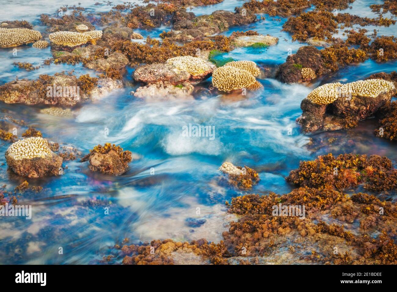 Shore of Tongatapu Island. Nuku'Alofa, Tongatapu, Tonga Stock Photo Alamy