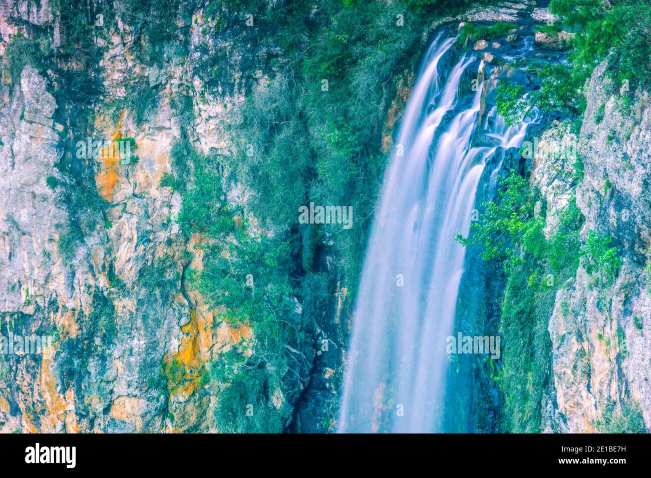 Tamborine Waterfall in Tamborine National Park, Queensland, Australia