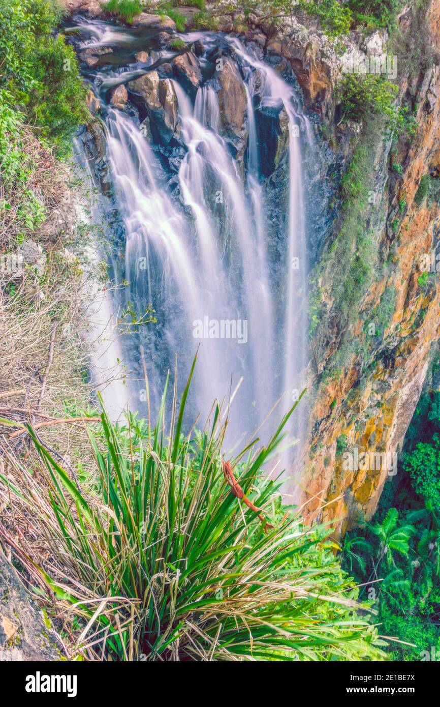 Tamborine Waterfall in Tamborine National Park, Queensland, Australia
