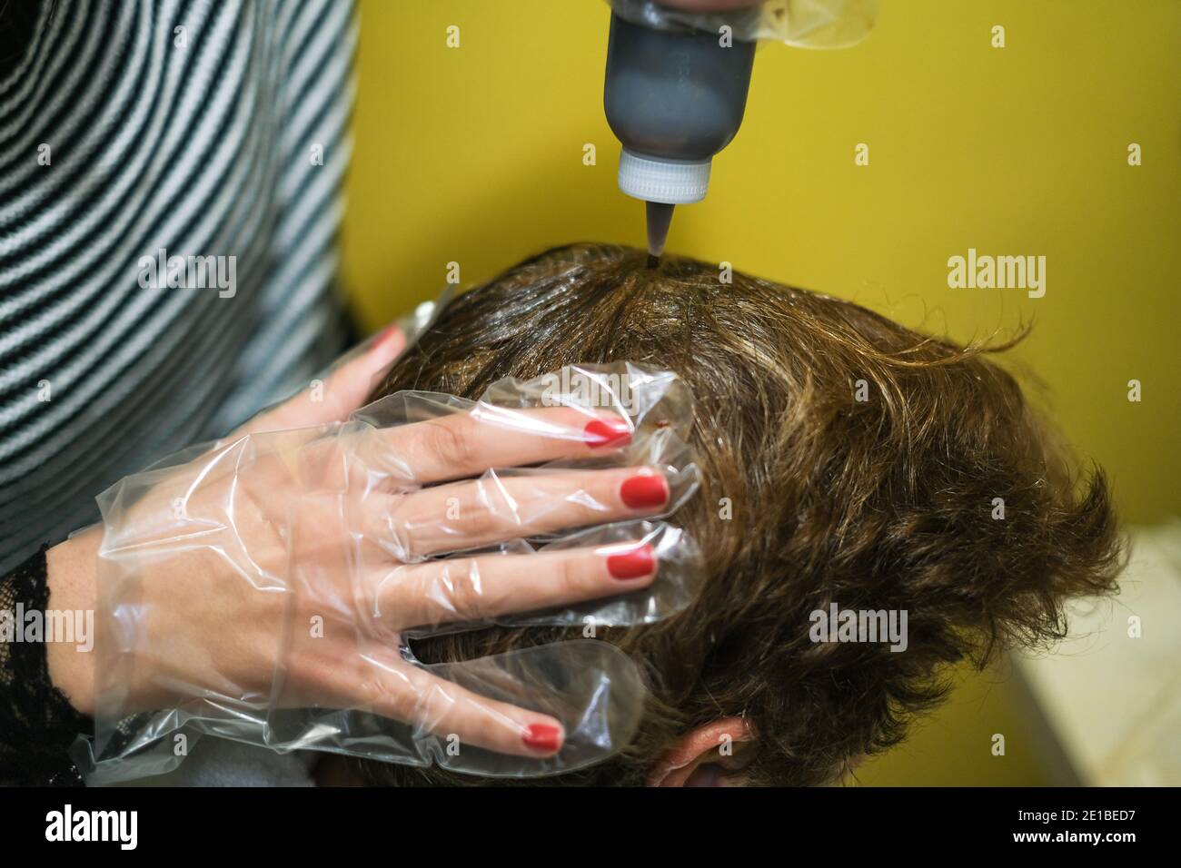 Hair dresser Woman while applying hair dye to customer at work,home beauty treatment Stock Photo