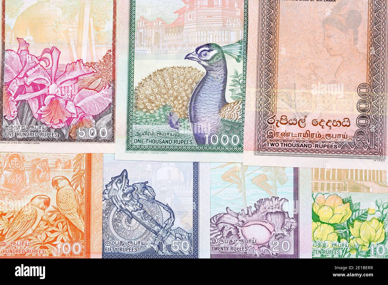 Old Sri Lankan money - Rupee Stock Photo