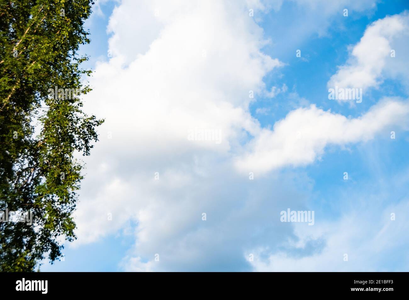 Soft cloud texture on blue sky background Stock Photo