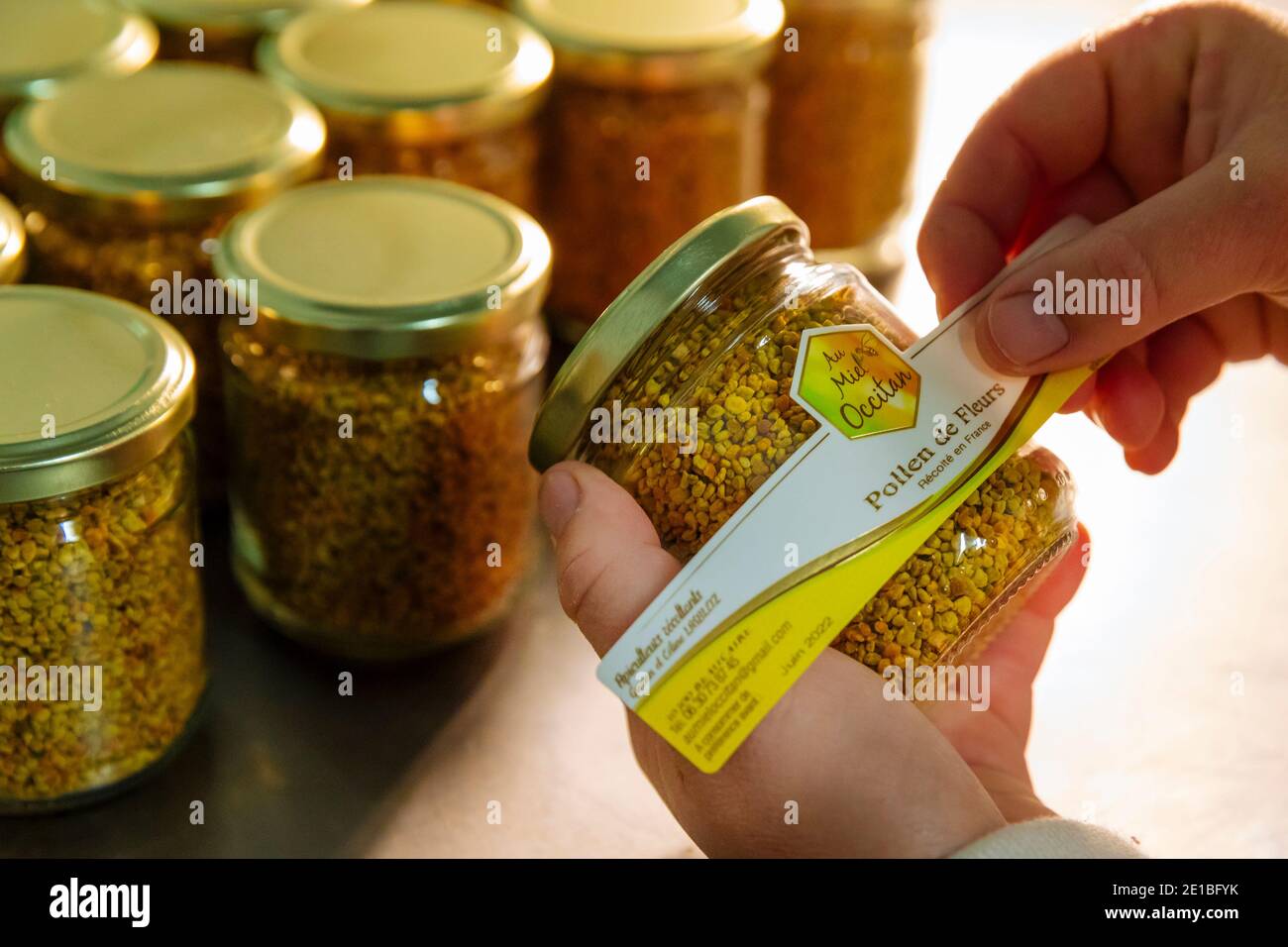 Apiculture in Beaucaire (south-eastern France): pollen from flower being put in a jar, beekeeping 'Au miel occitan” Stock Photo