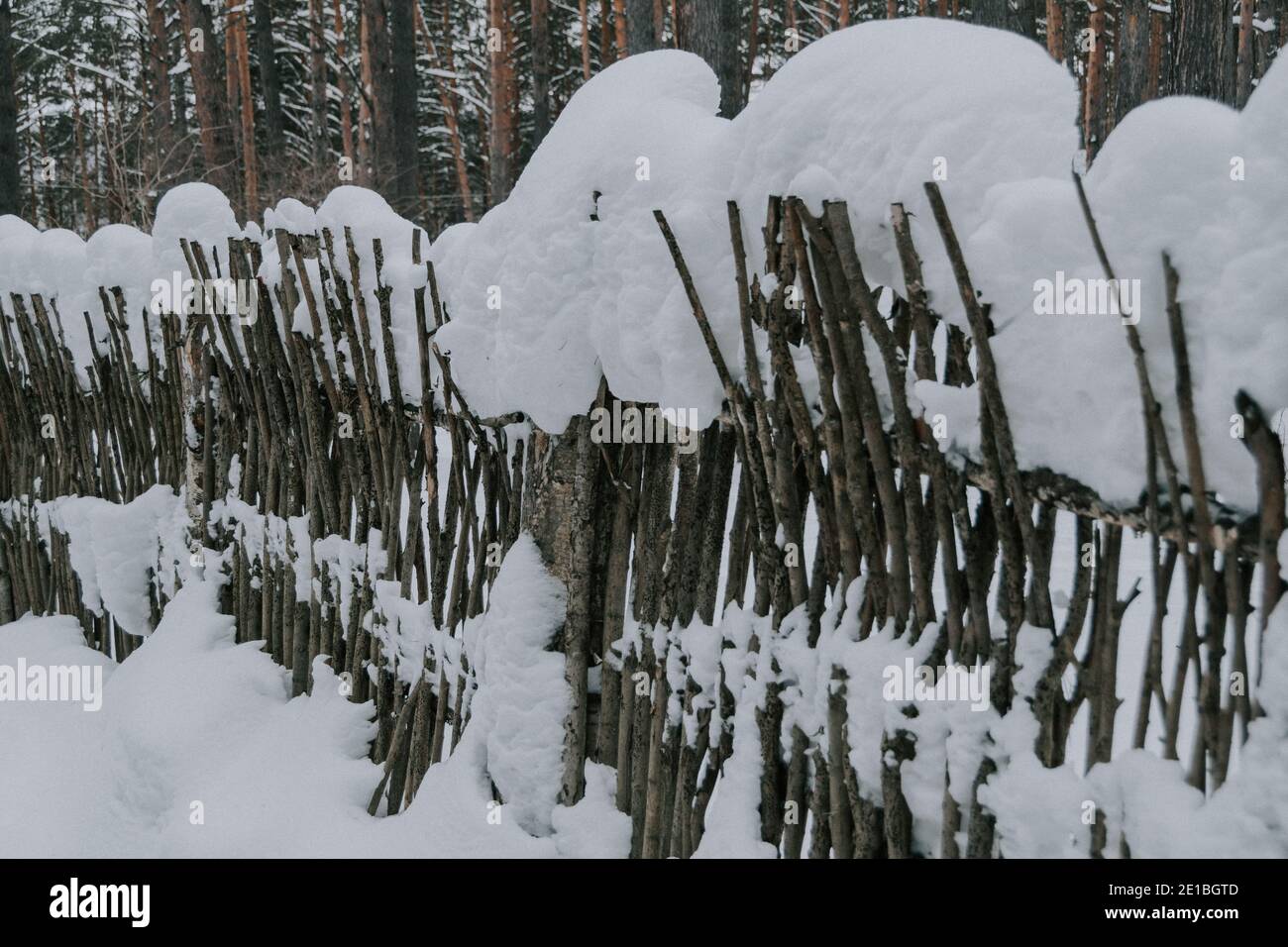 Old wooden village fence made of branches under snow Stock Photo - Alamy