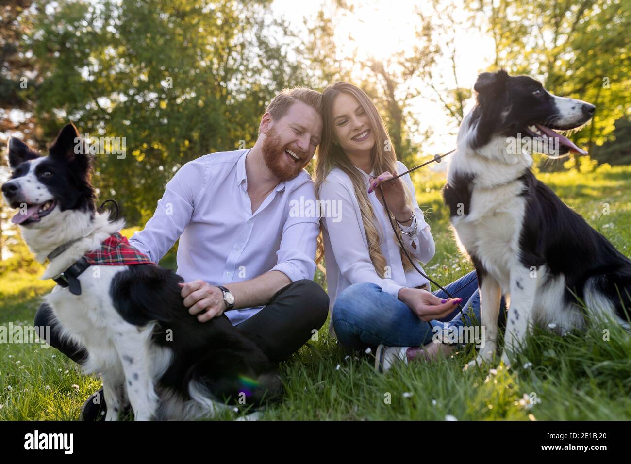 Happy couple playing with dog in the park outdoor Stock Photo - Alamy