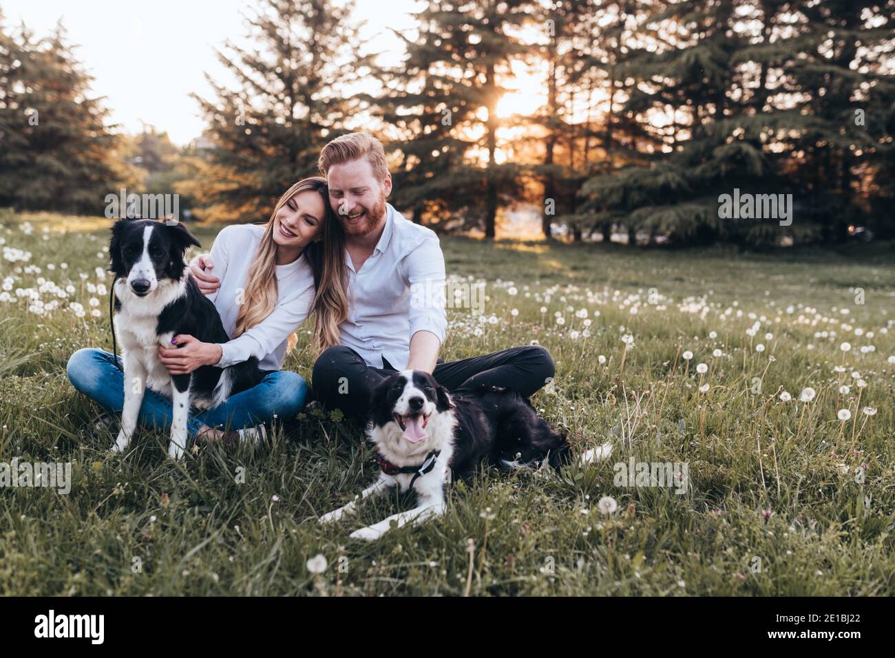 Happy couple playing with dog in the park outdoor Stock Photo - Alamy