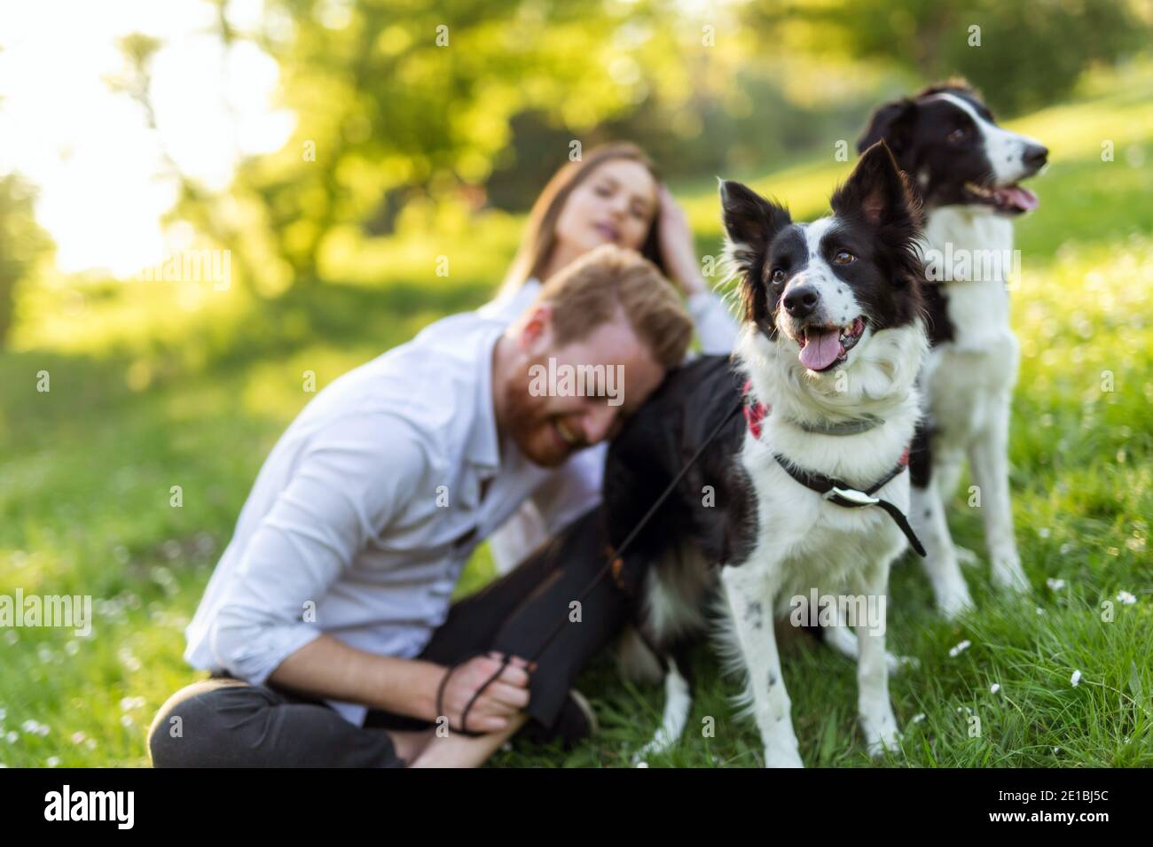 Young happy couple playing with dogs, having fun in park Stock Photo ...