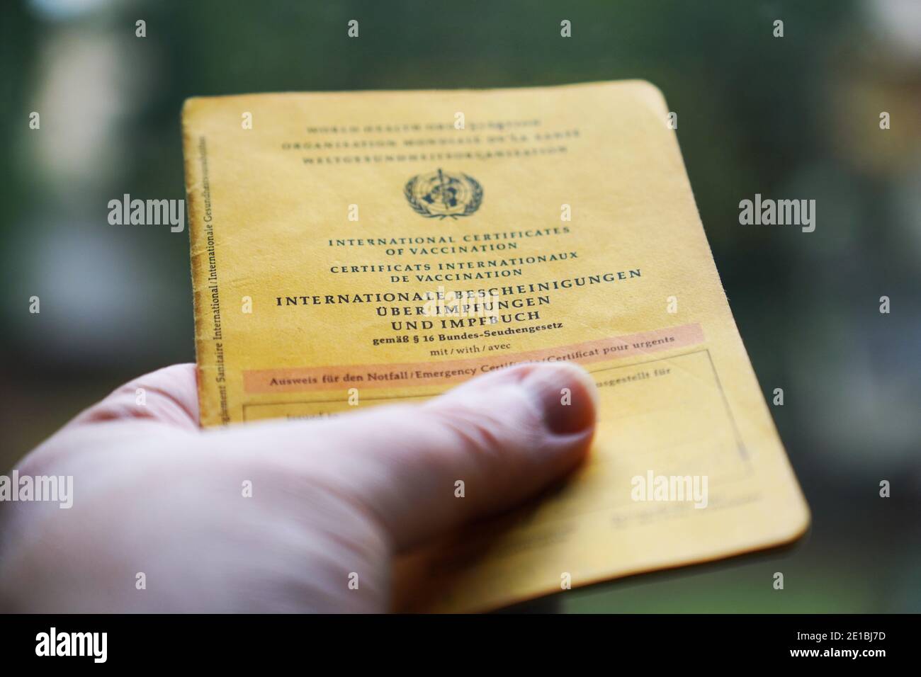 hand holding International certificate of vaccination known as Impfbuch in German - close-up with selective focus Stock Photo