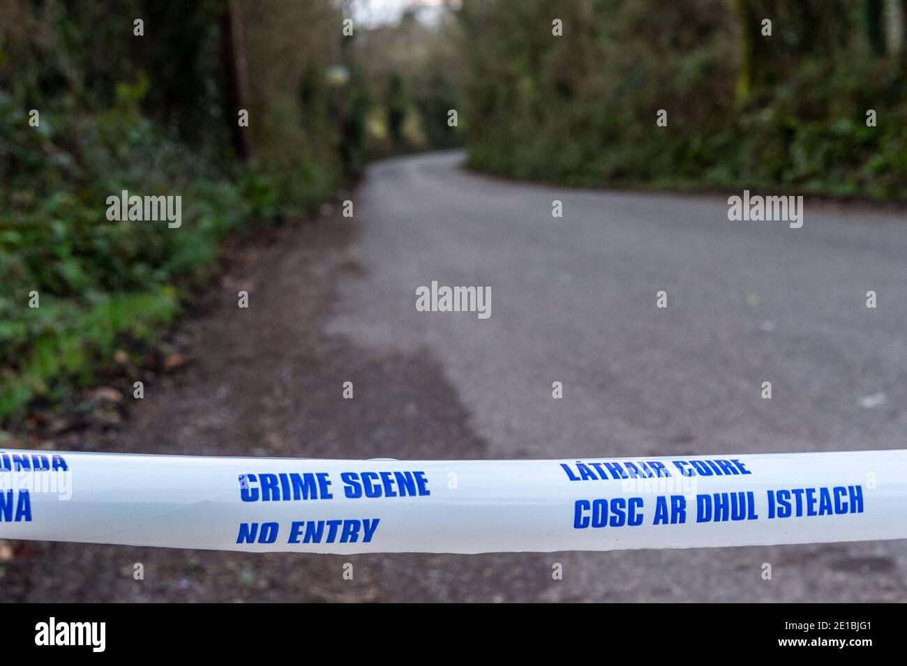 Midleton, County Cork, Ireland. 6th Jan, 2021. Skeletal remains were found on the Midleton to Youghal Greenway last night, just outside Midleton. Gardai have the road leading to the discovery sealed off. The pathologist is due to examine the remains today. Credit: AG News/Alamy Live News Stock Photo