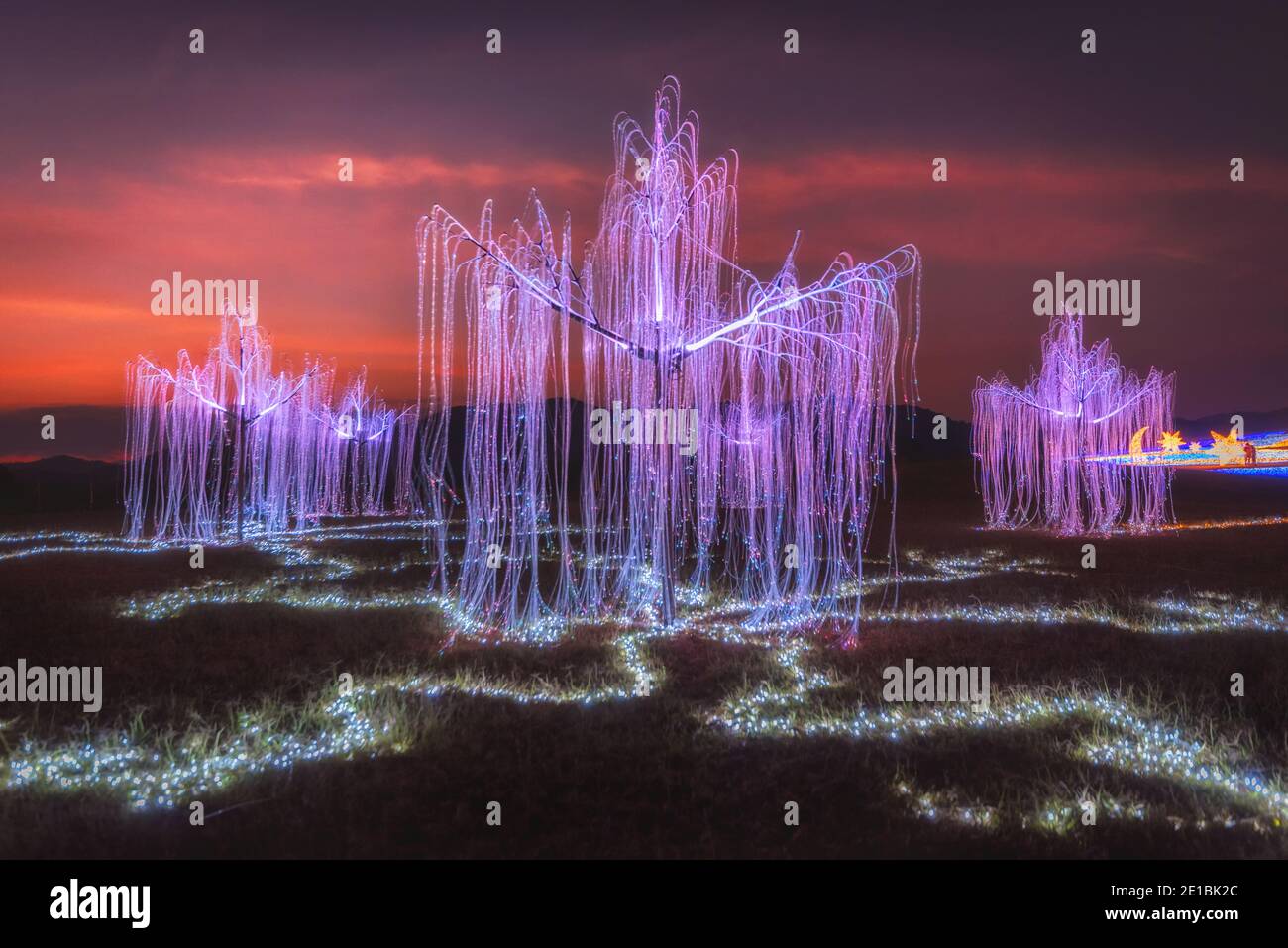 Soft focus scene led hi-res stock photography and images - Alamy