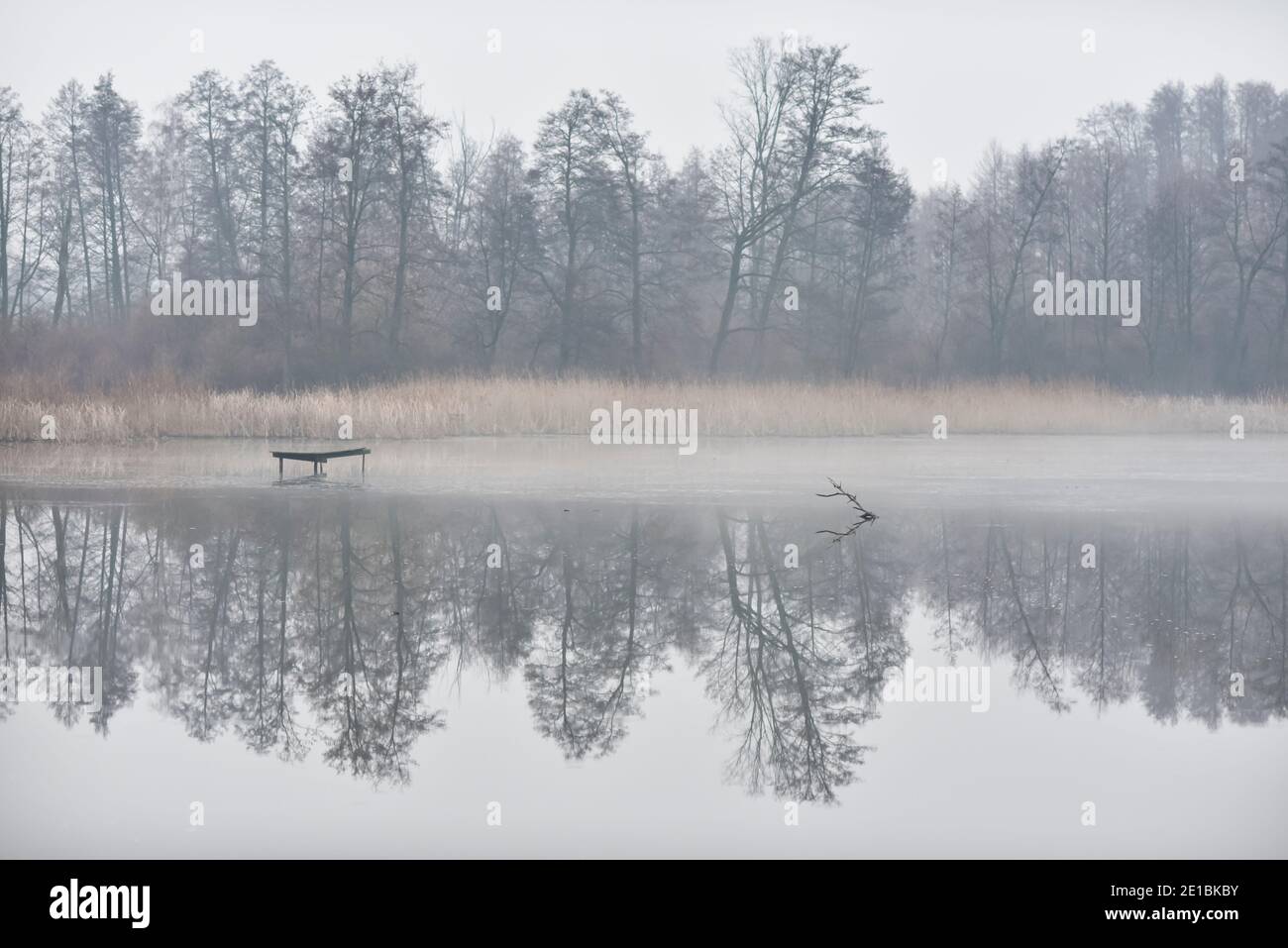 Autumn landscape. Foggy day over the waterline. Stock Photo