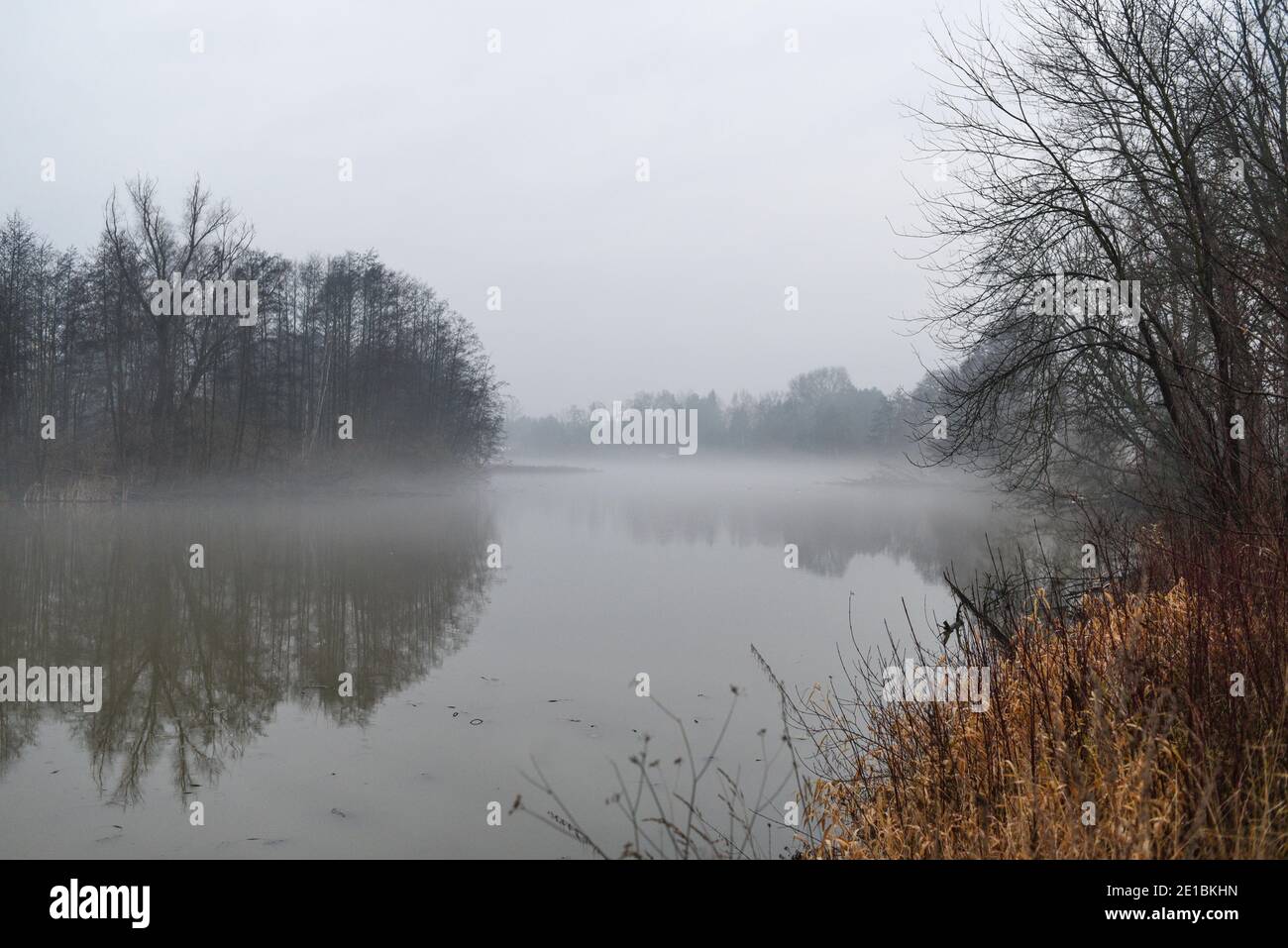 Autumn landscape. Foggy day over the waterline. Stock Photo