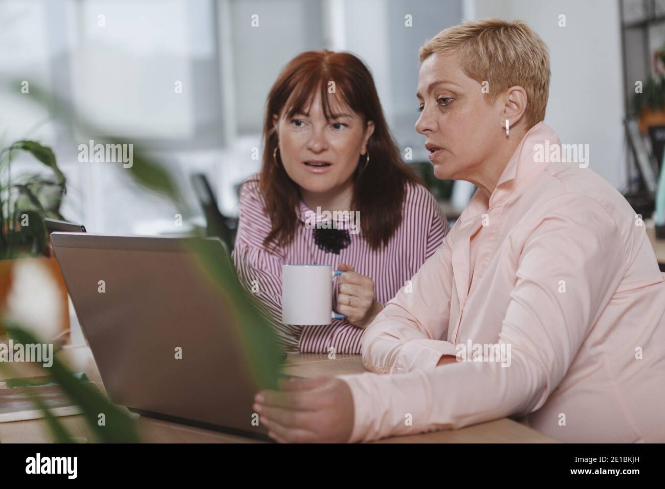 Beautiful mature businesswoman working on the laptop with her female colleague. Two experienced female entrepreneurs discussing work, using computer. Stock Photo
