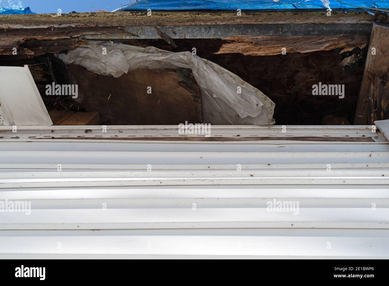 Rotting rafters and plywood on the underside of a roof with the fascia removed. Stock Photo