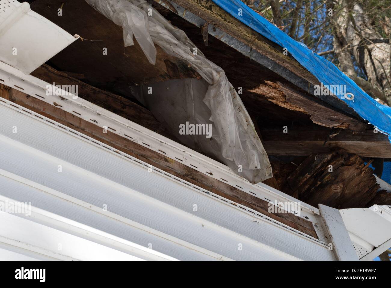 Angle view of rotting rafters and plywood on the underside of a roof with the fascia removed. Stock Photo
