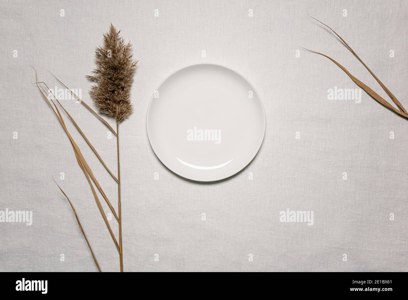 Natural dried reed flower, leaves and empty white plate on textured white linen material. Flat lay background with dried flower arrangement and copy s Stock Photo