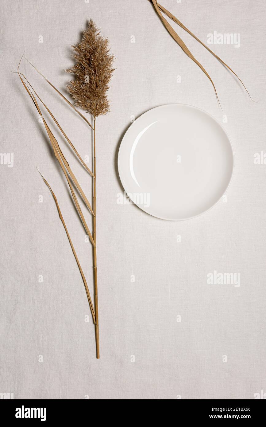 Natural dried reed flower with leaves and empty white plate on textured white linen textile material. Flat lay background with dried flower arrangemen Stock Photo