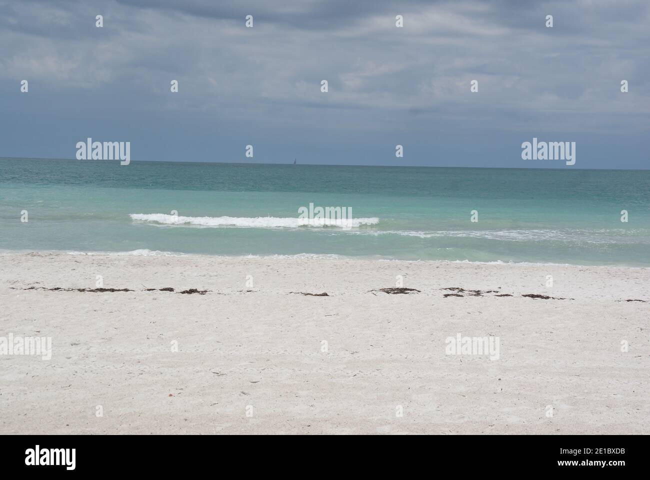 Tropical Beach Stock Photo