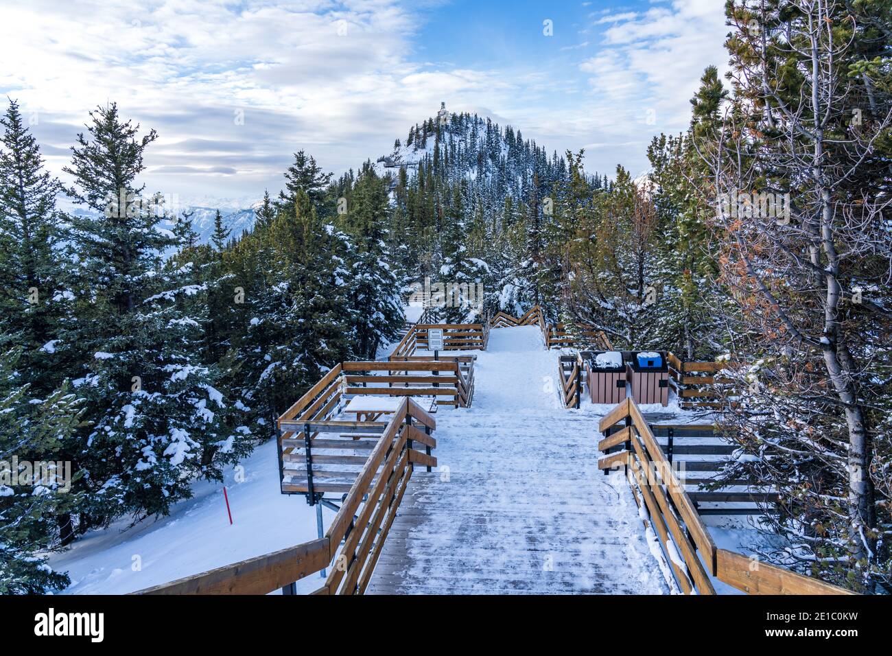 Sulphur Mountain trail, wooden stairs and boardwalks along the summit. Banff National Park, Canadian Rockies. AB, Canada Stock Photo