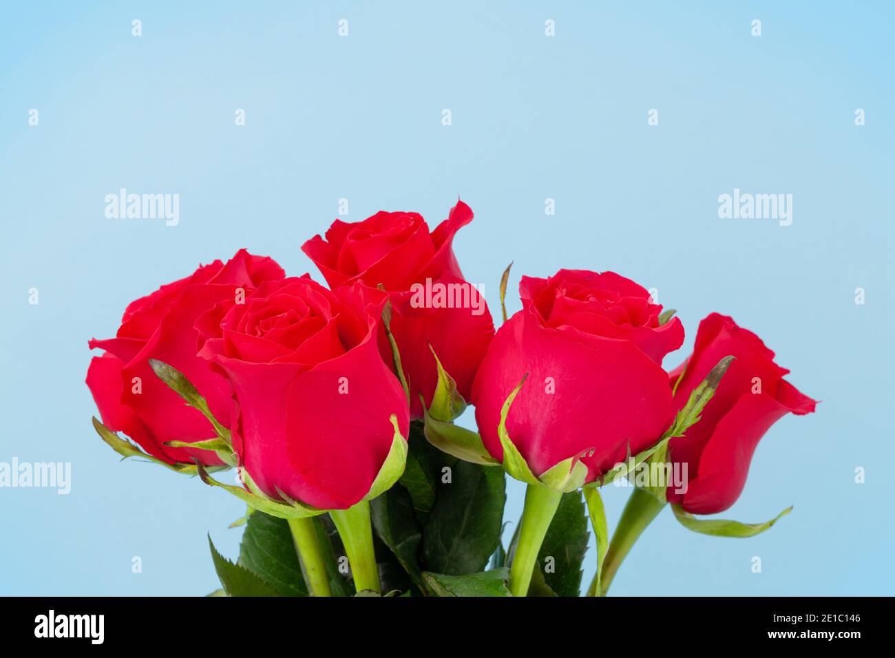 Valentines day greeting card with red rose flowers bouquet. With space ...
