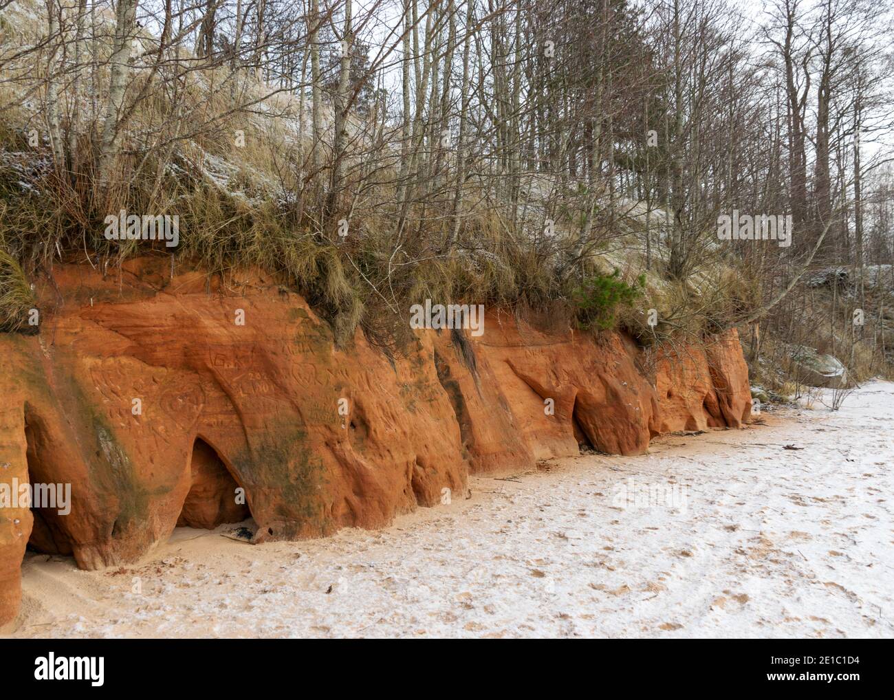 Sea cliff with Devonian sandstone outcrops. During the storm, niches and caves were washed away