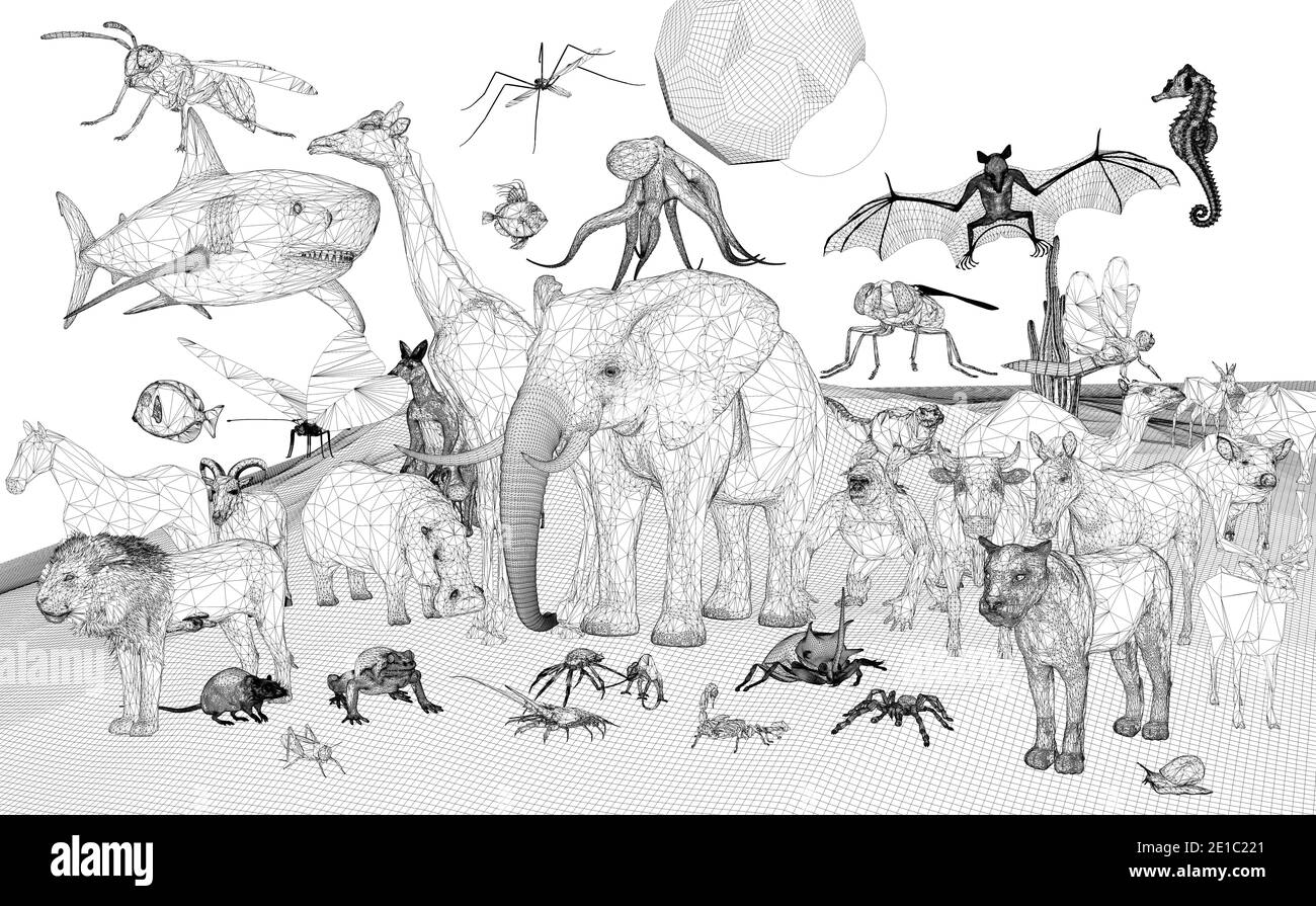 CGI-Visualisierung: Schoepfung, Tierreich/ CGI visualization: creation, animals (nur fuer redaktionelle Verwendung. Keine Werbung. Referenzdatenbank: Stock Photo