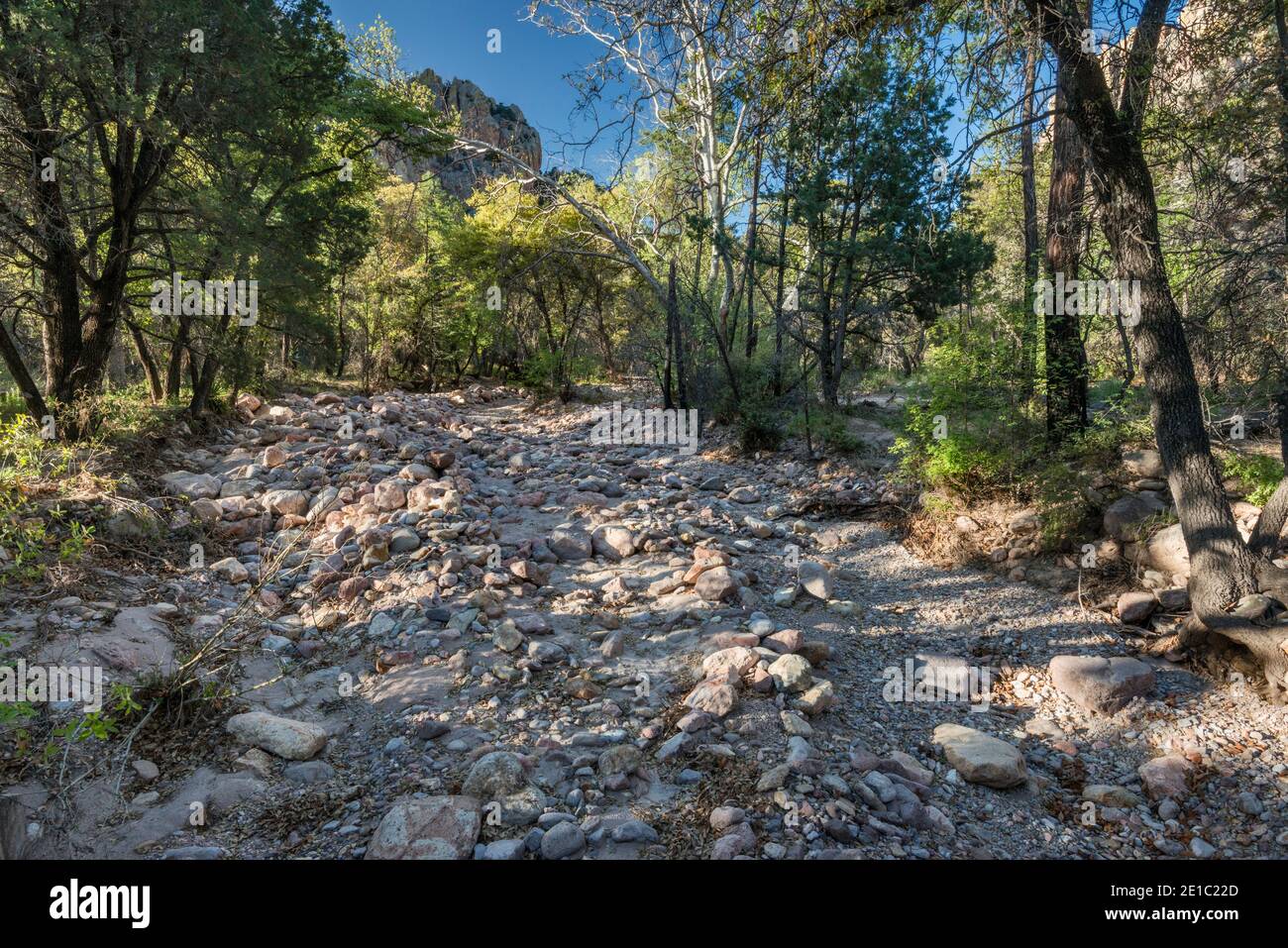 Dry river bed of Cave Creek, damaged with rocks after massive flood
