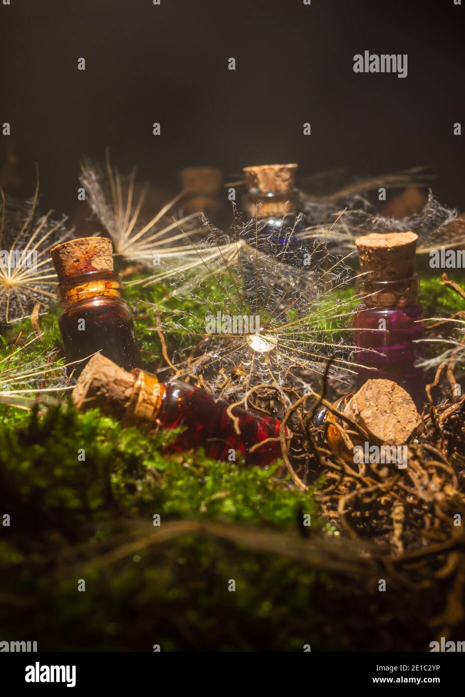 Close-up fantasy scene of a dandelion seed with a drop of water surrounded by glass mini bottles filled with colorful liquid in the mist. Stock Photo