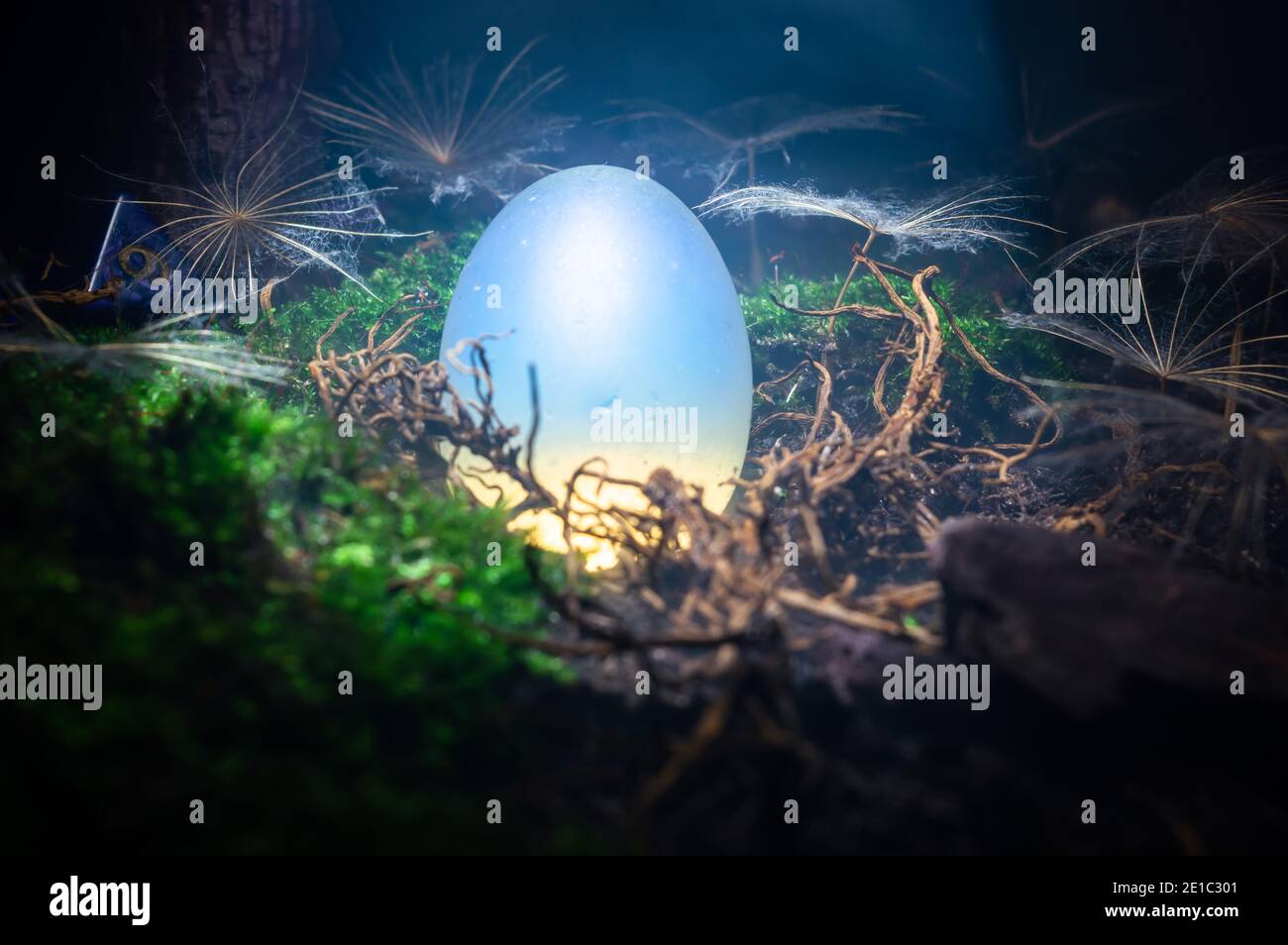 Close-up fantasy scene of a white opaque egg in a beam of light. It's surrounded by dandelion seeds and rests on a bed of moss, dirt and roots. Stock Photo