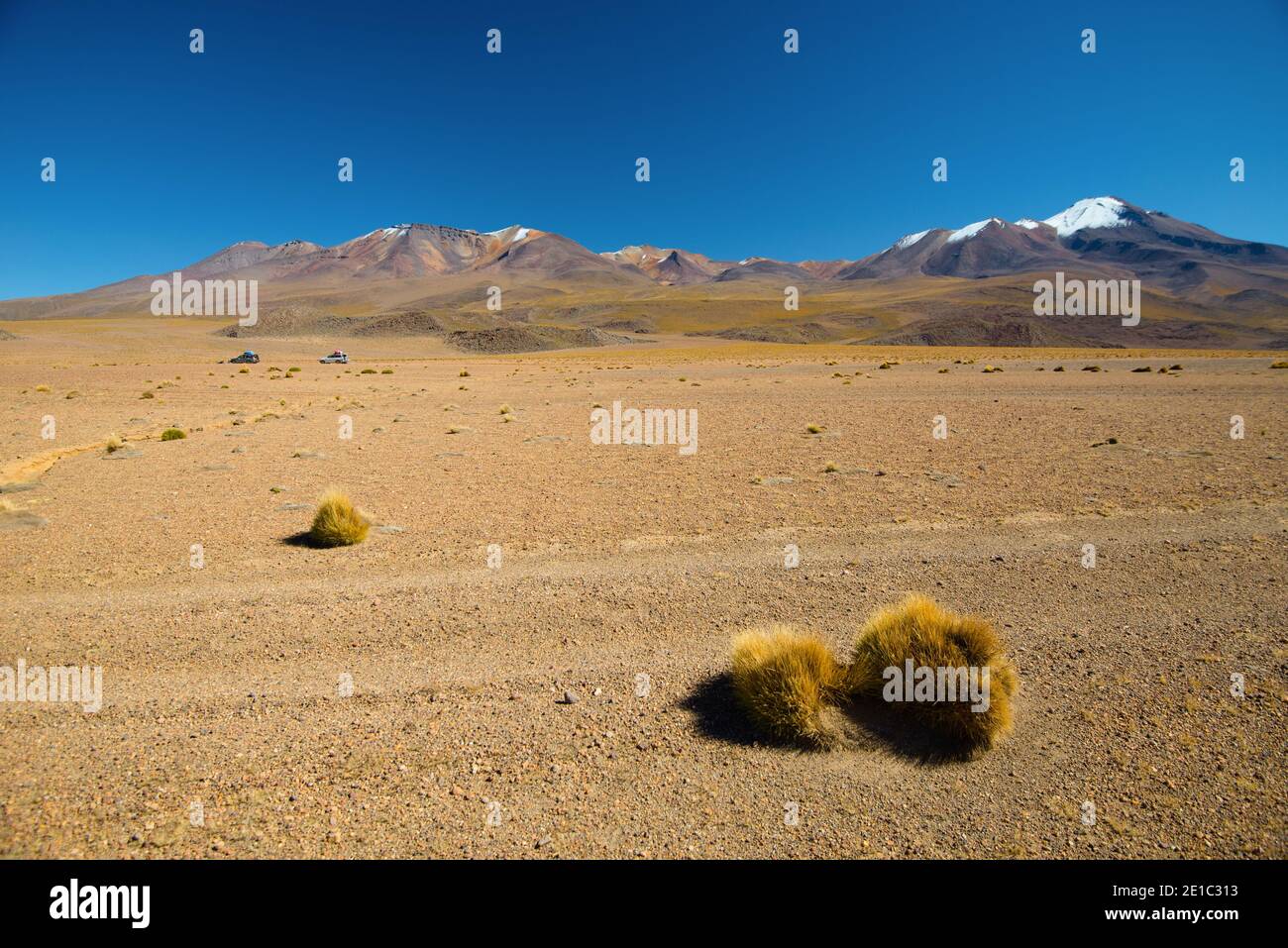 Desert of Bolivia. Andean altiplano in Bolivia. Stock Photo