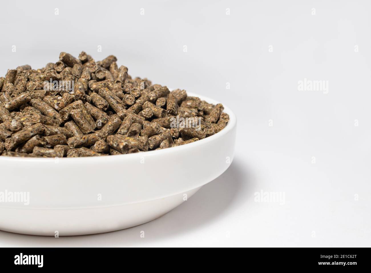 can-rabbits-eat-dog-food