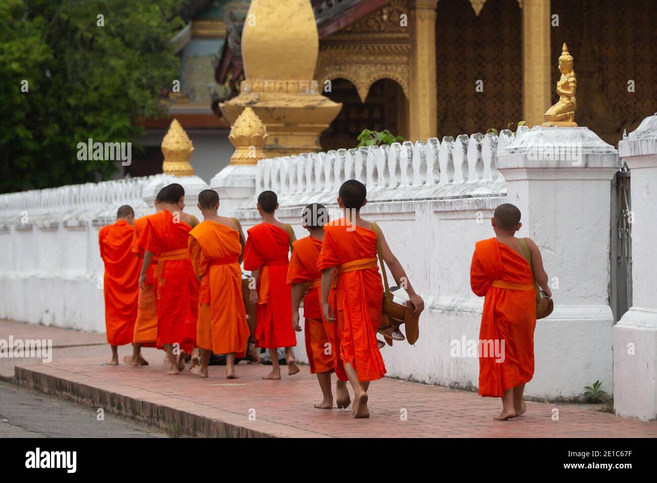Buddhist monks on everyday morning traditional alms giving in Luang Prabang, Laos. Stock Photo