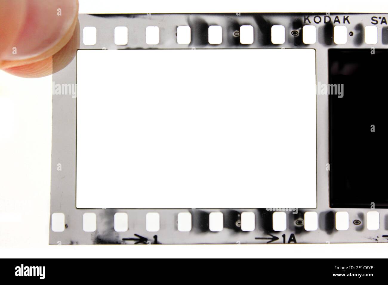 Kodak black and white 35mm negative filmstrip frame isolated on a
