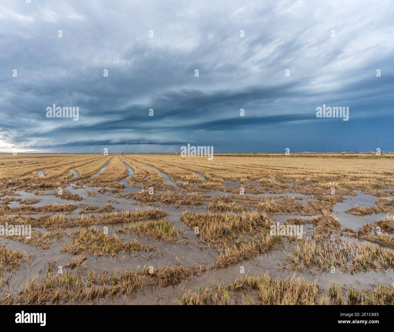 Stromy Rice Field Misterious clouds hi-res stock photography and images - Alamy