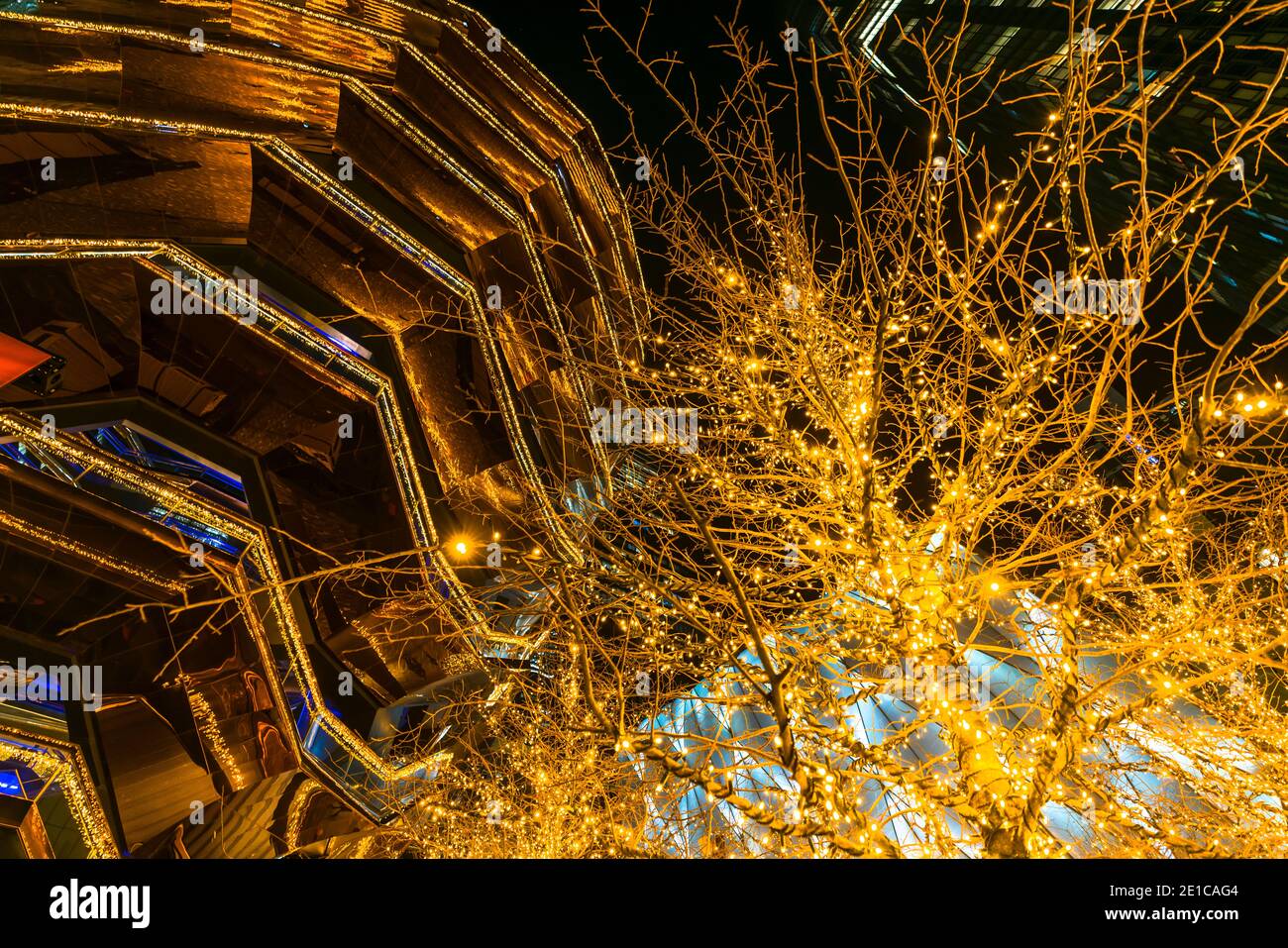 Illuminated Christmas trees surround the Vessel in Hudson Yards Stock