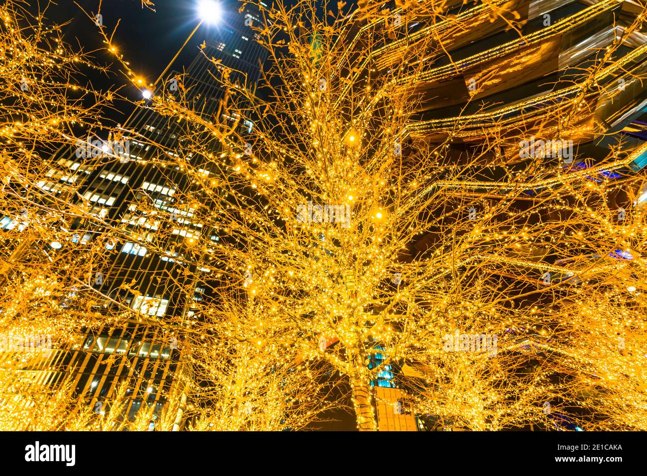 Illuminated Christmas trees surround the Vessel in Hudson Yards Stock