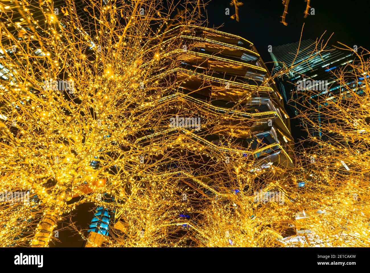 Illuminated Christmas trees surround the Vessel in Hudson Yards Stock