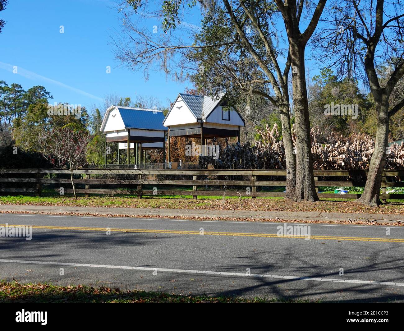 Three large bat houses on the University of Florida camps, in winter, during daylight