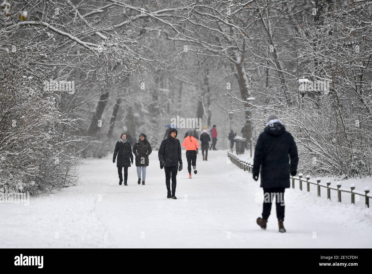 Weather Picture Winter In The English Garden In Muenchen Walker Romp In The Snow After The Weather Picture Winter In The English Garden In Muenchen Walker Romp In The Snow After The