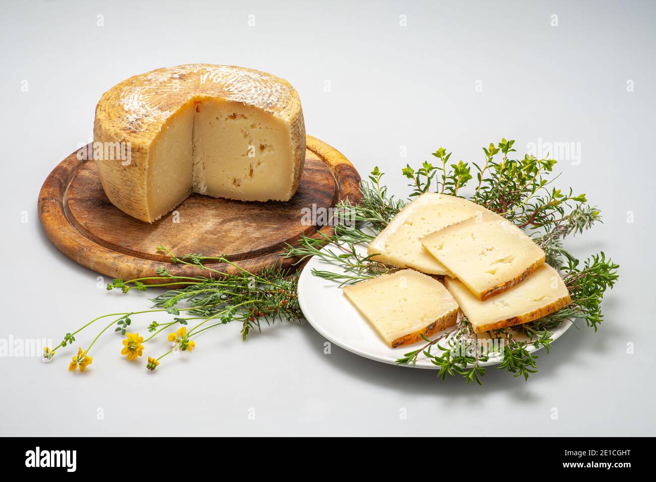 Slices of Italian pecorino cheese with monjtagna grass on a white background. Abruzzo, Italy, Europe Stock Photo