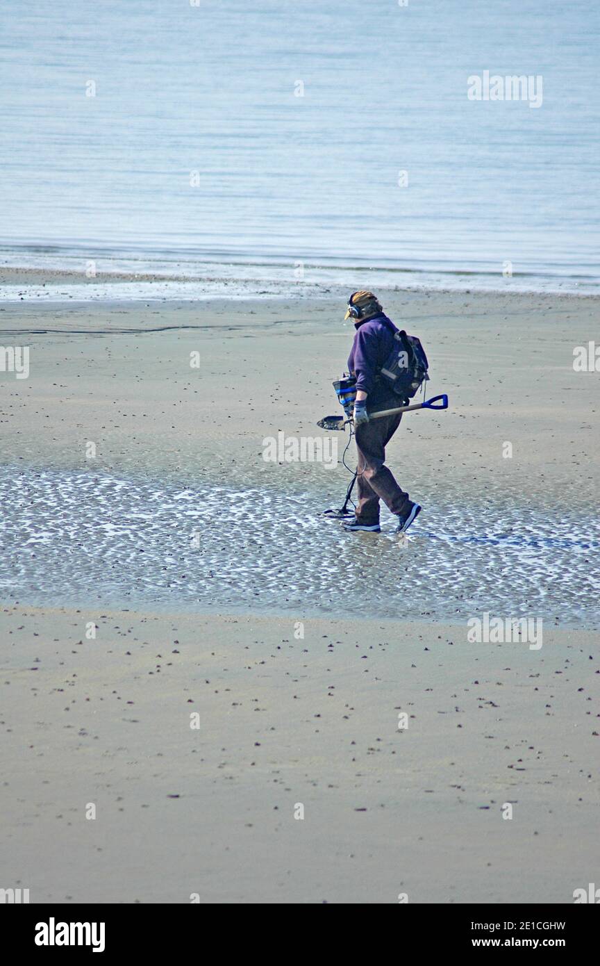 Beach comber with metal detector, East Wittering Beach, Chichester, West Sussex, England, UK