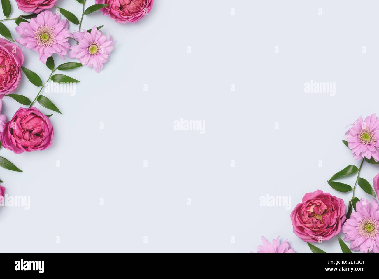 Frame made of aster, rose flowers and green leaves texture on a blue ...