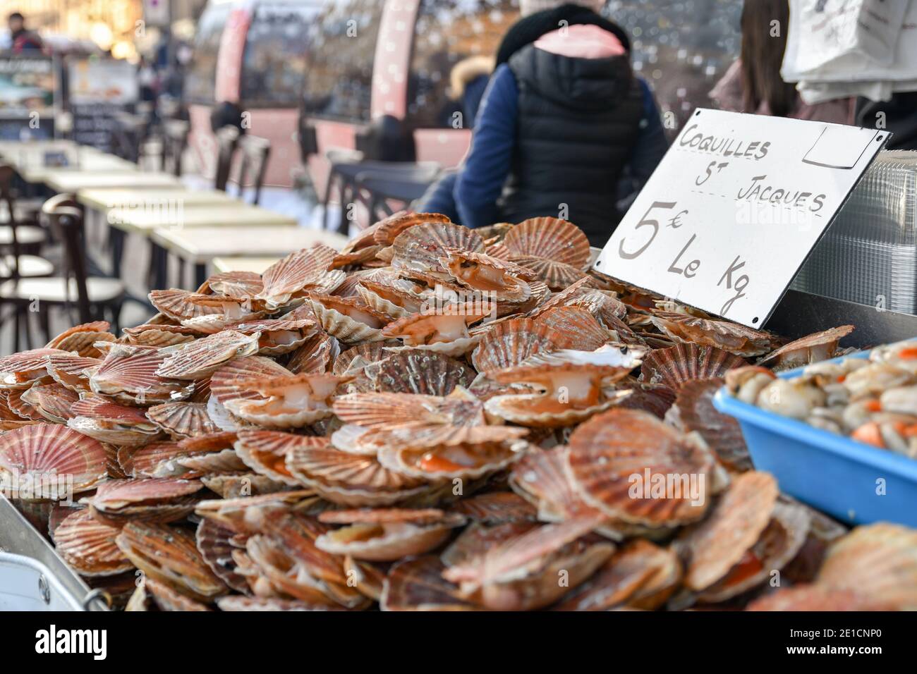 Fresh Scallops on a seafood market at Dieppe France Stock Photo Alamy